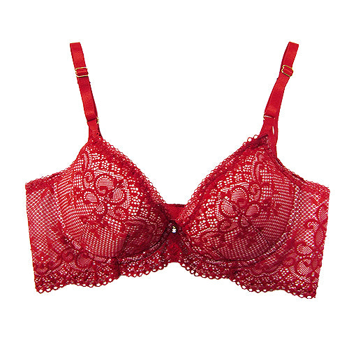 Arabesque Brassiere_01084【SALE】